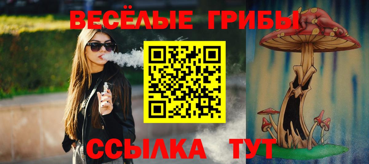 Кемерово  Псилоцибиновые грибы прущие грибы  Вход с VPN 