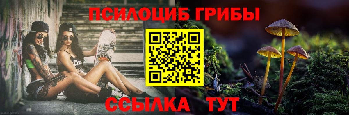 Псилоцибиновые грибы Psilocybe Кемерово